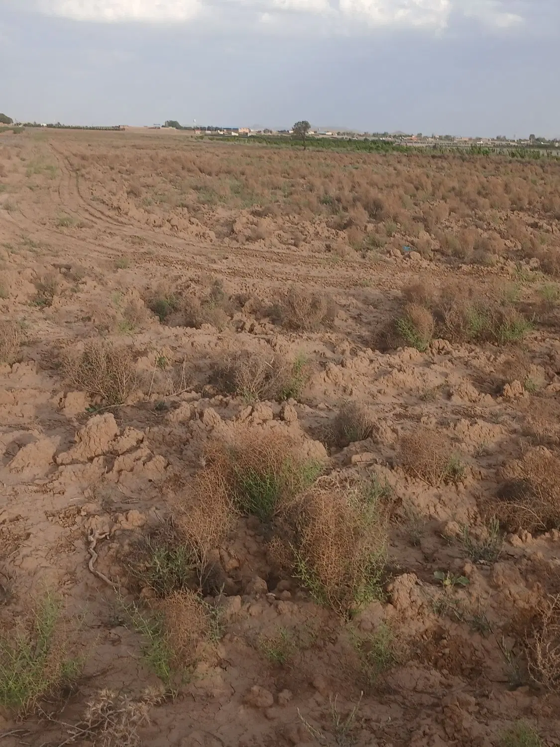 زمین سندار