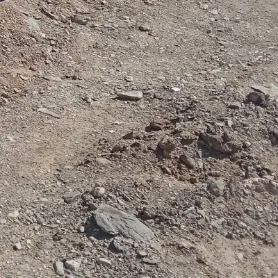 سقف و ستون شمالی مجلسی