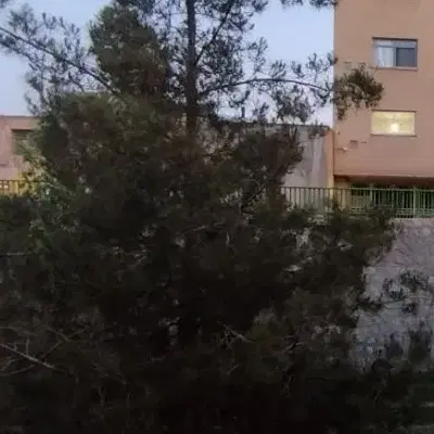 اجاره واحد آپارتمان دوخواب