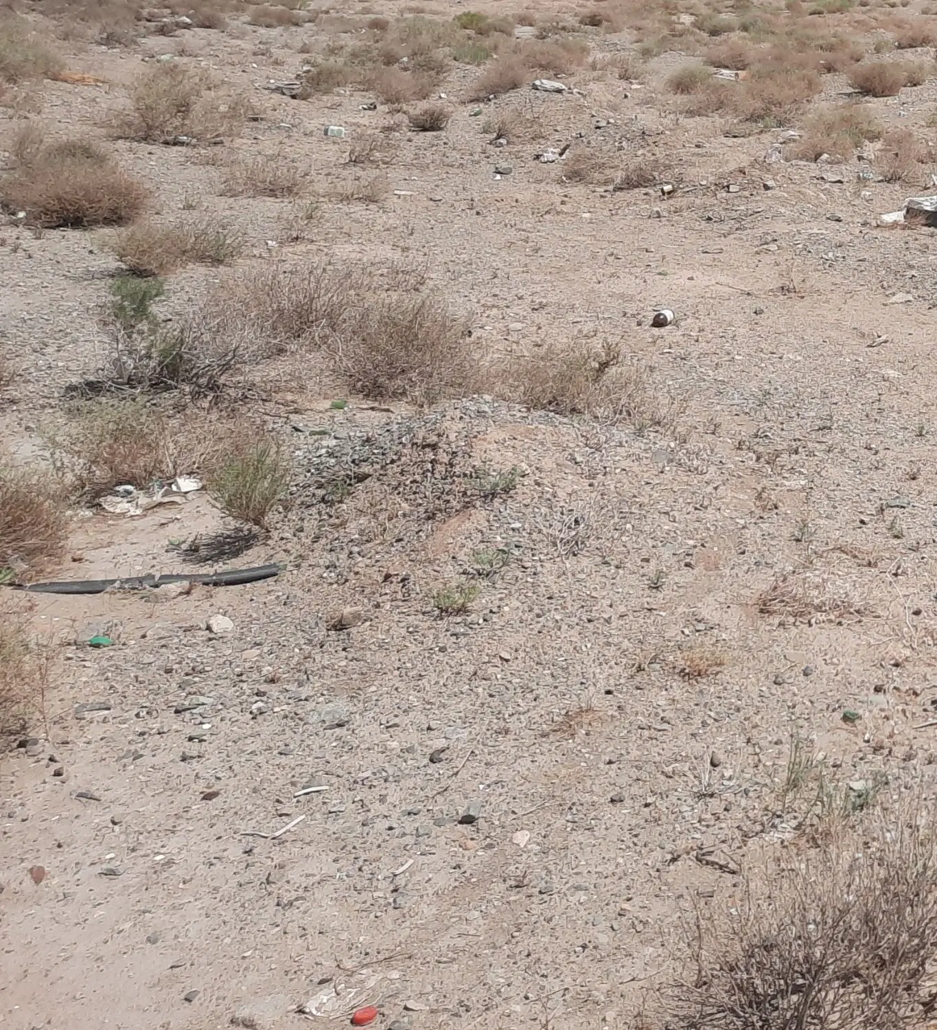 زمین مسکونی