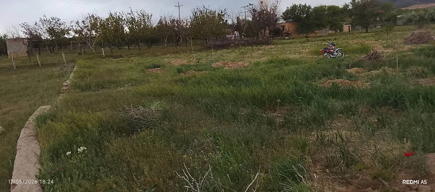 باغ