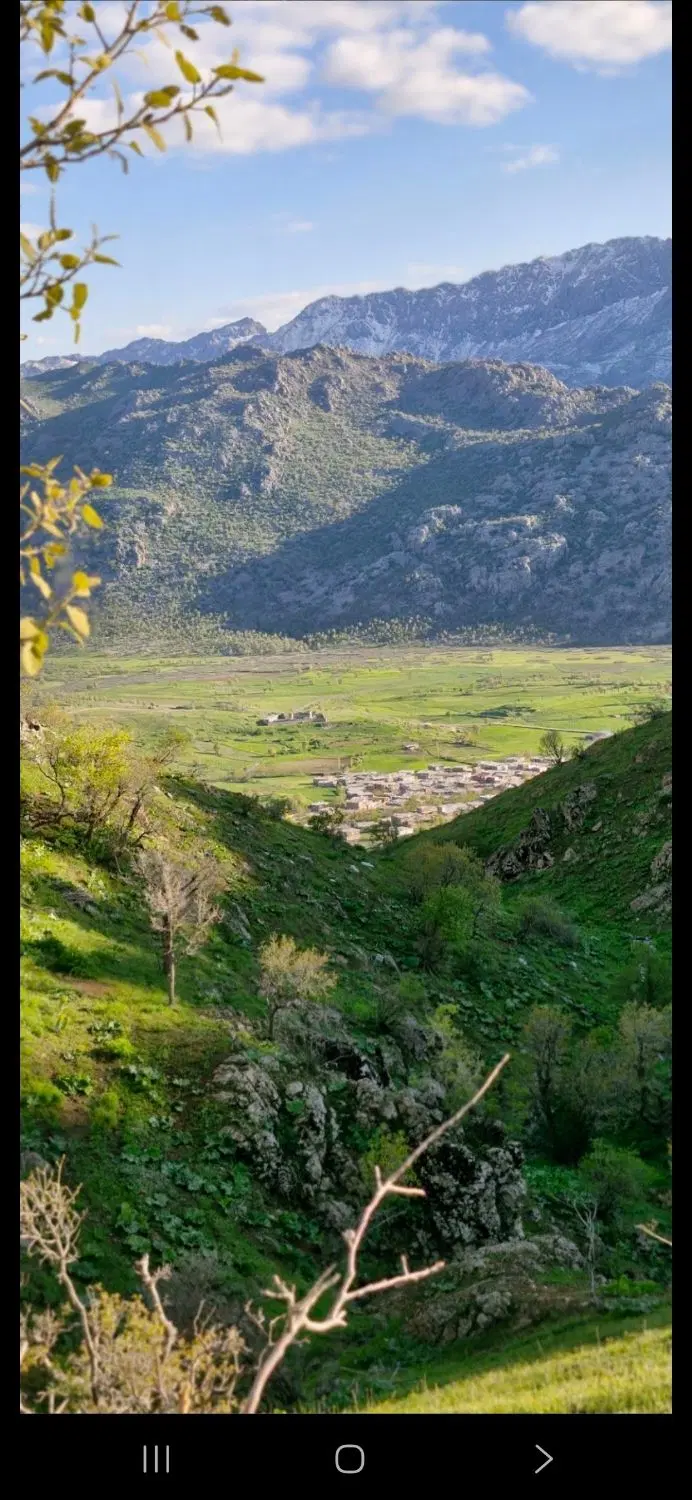 زمین کشاورزی