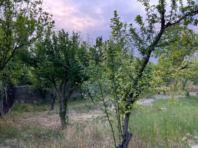 باغ ۴۵۰ متری دو نبش معاوضه با خودرو