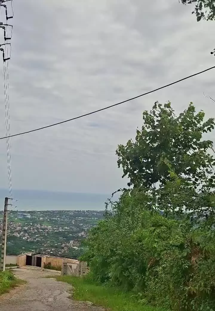 زمین اربکله کوی پارادایس