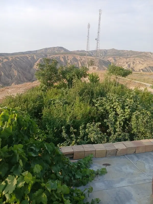 منزل حیاط دار روستای قرناوه علیا