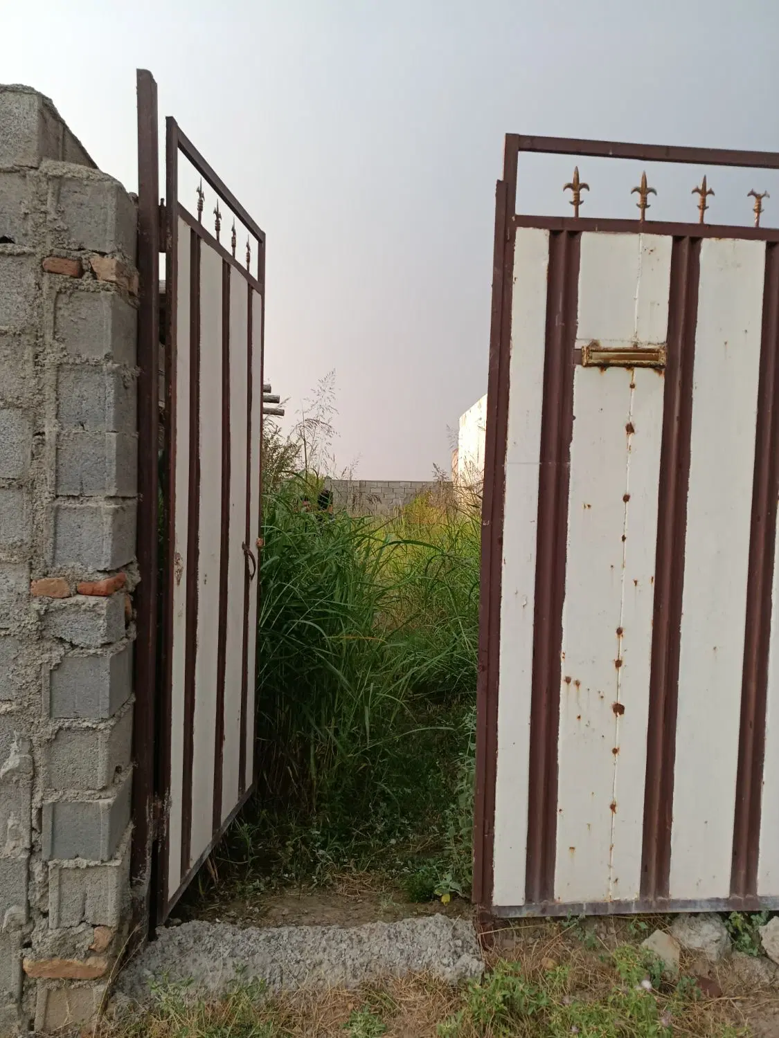 فروش زمین محمد آباد کتول