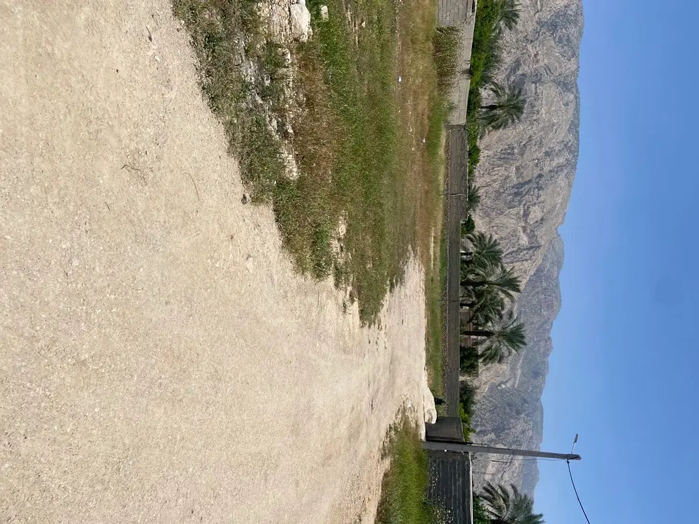فروش زمین مسکونی در شاپور روستای تل کوهکـ کازرون