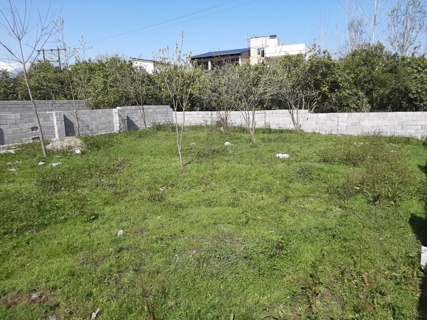 ۲۸۲متر زمین قطعه بندی شده آبکله سر بزرگ