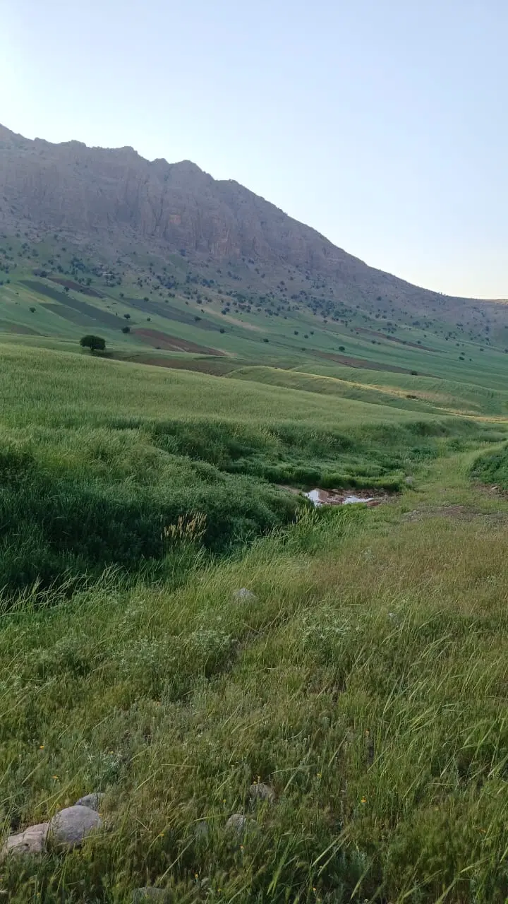 فروش زمین کشاورزی
