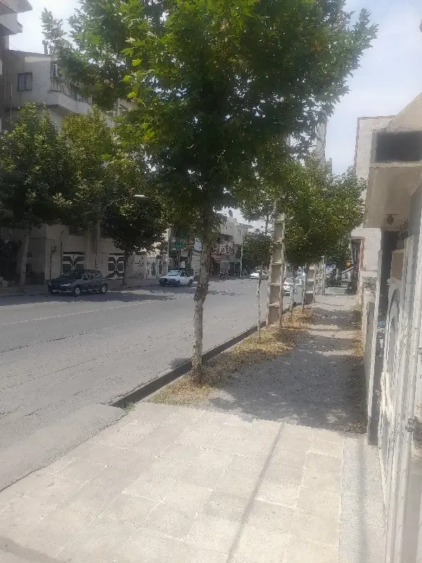 اوایل ویلاشهر