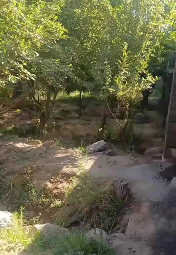 ۴۷۰ متر طرح هادی