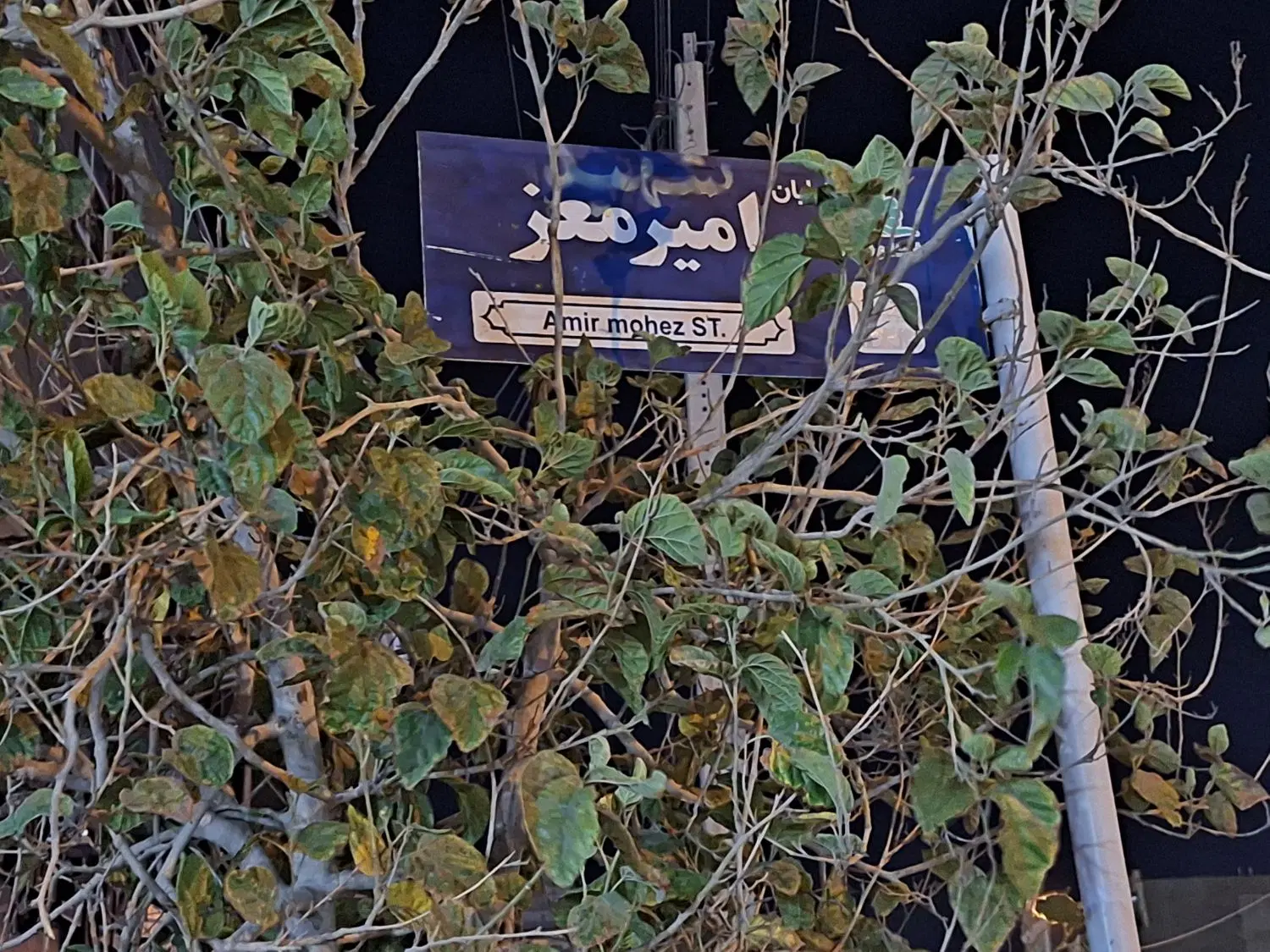 اجاره تجاری نبش جانبازان و امیر معز