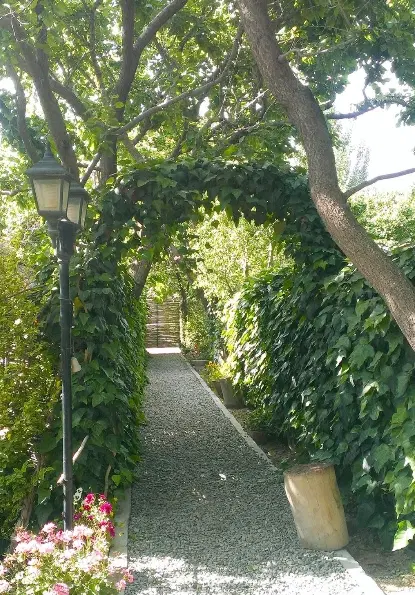 زمین خوش جا آینده دار
