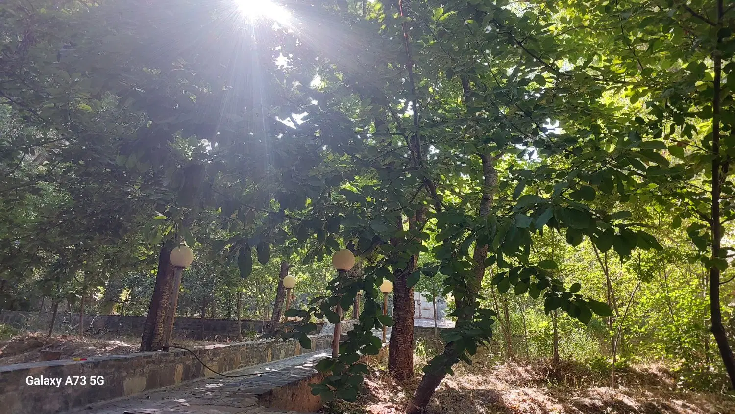 باغ گنجنامه