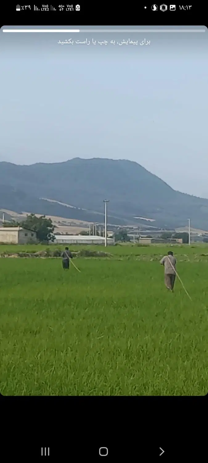 فروش زمین شالیزار در مینودشت