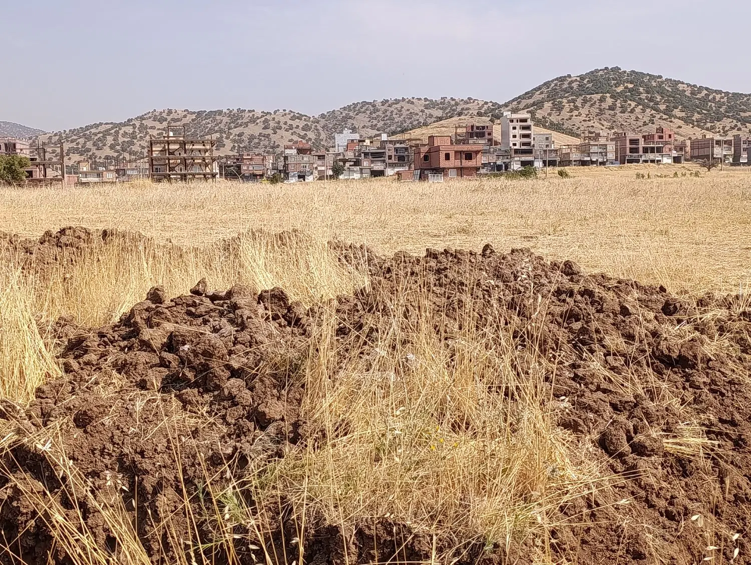 فروش زمین 80متری جنوبی