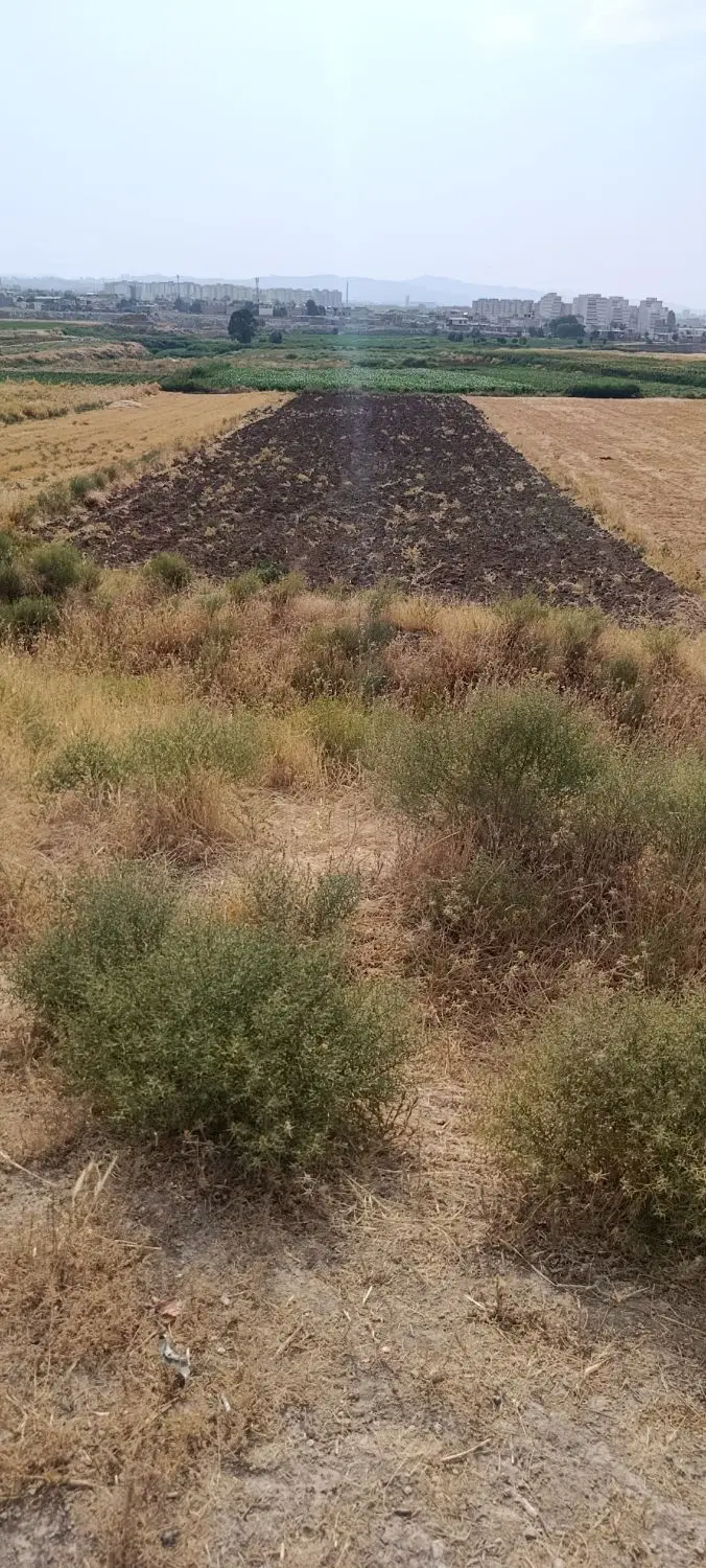 زمین بیجانه