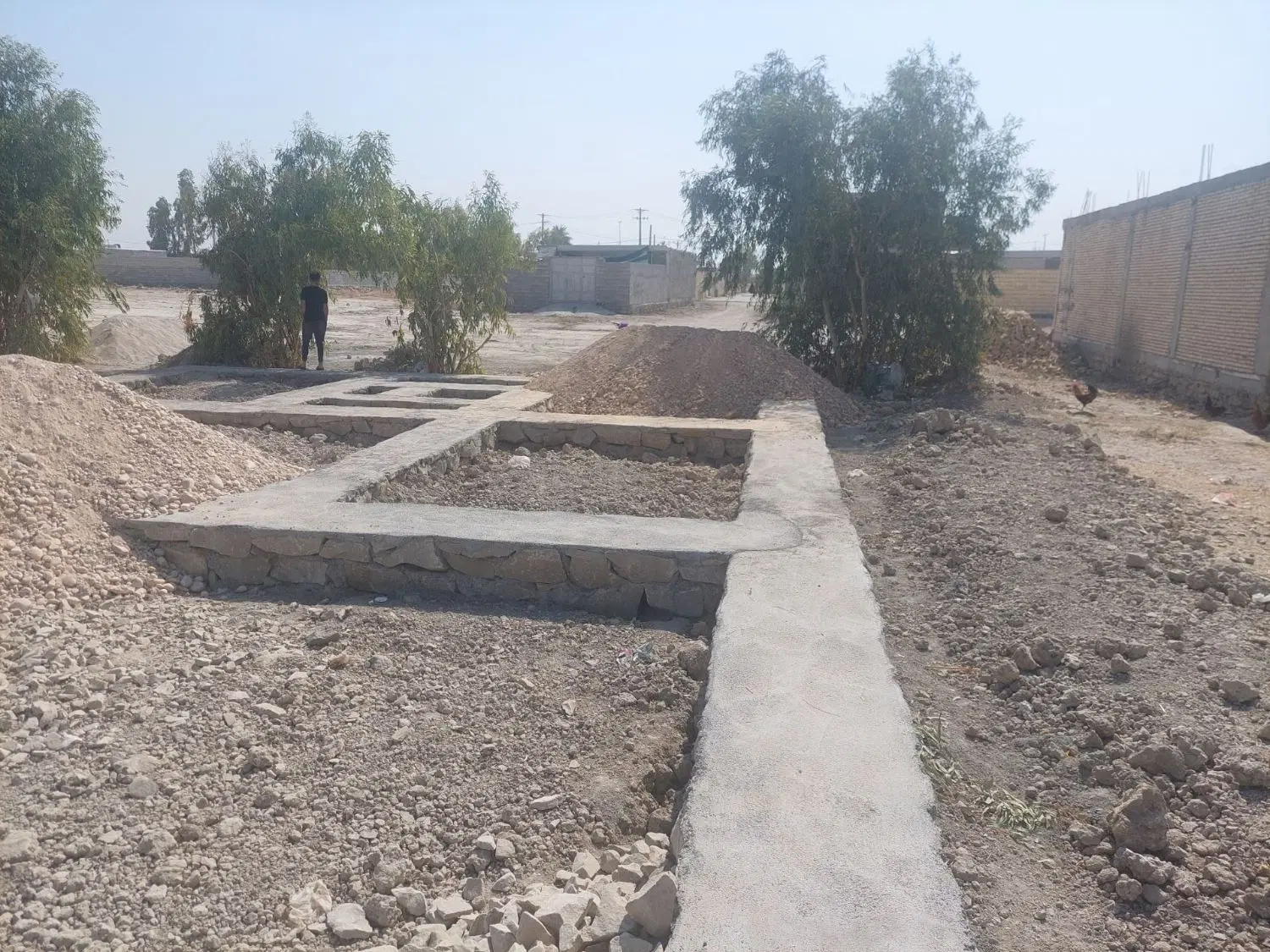 زمین درباصدی مسنی شده