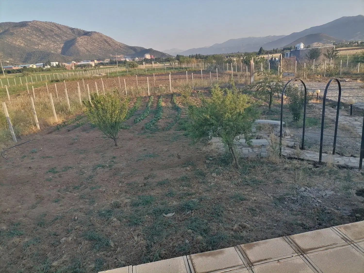 فروش زمین کشاورزی