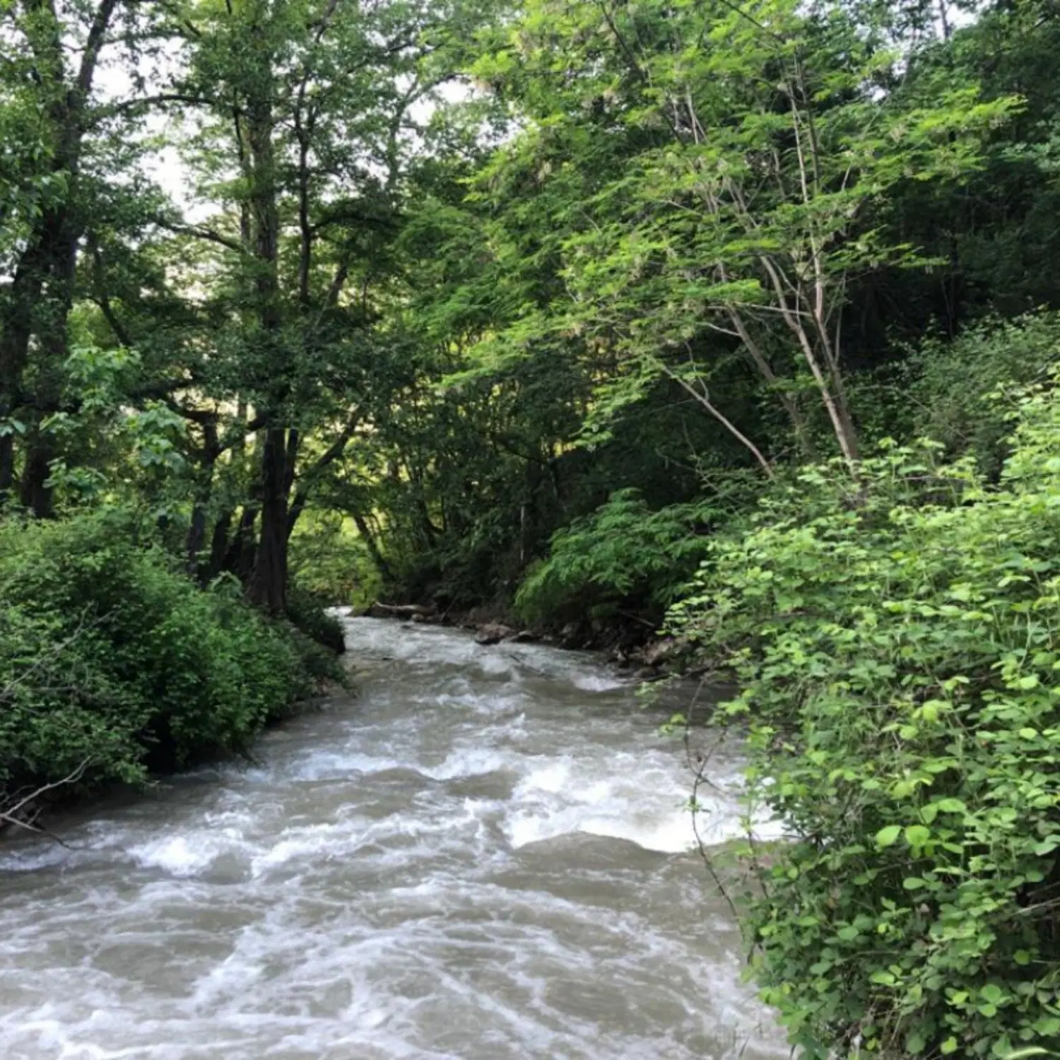 ۱۵۰ متر با کاربری مسکونی