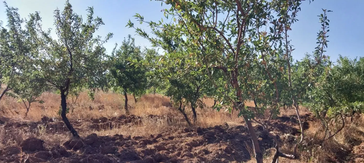 زمین فروشی خیابان شانزدهم آذر ۵ روی پیلوت