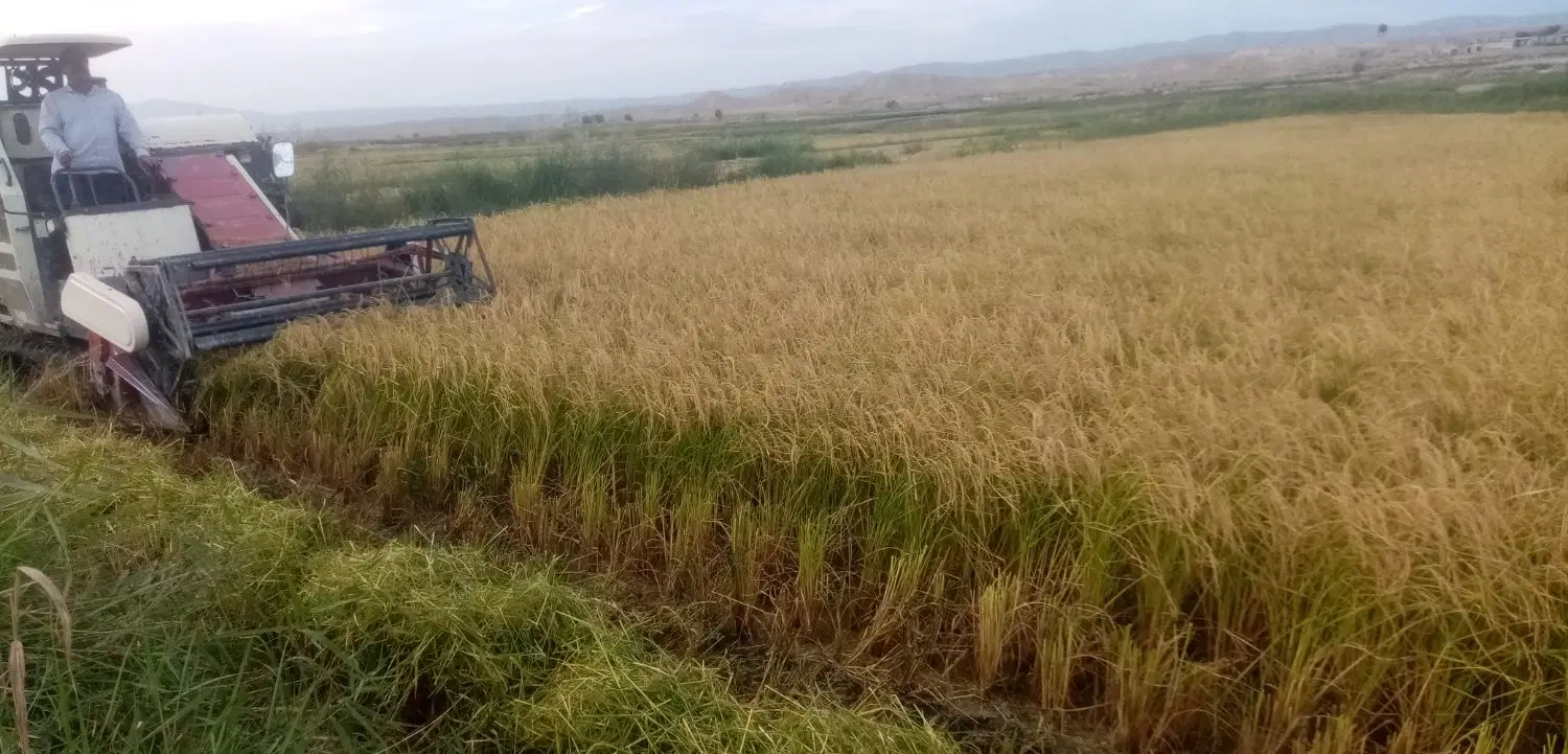 شهر گلستان معاوضه باپژویاسمند مدل بالا 75متری