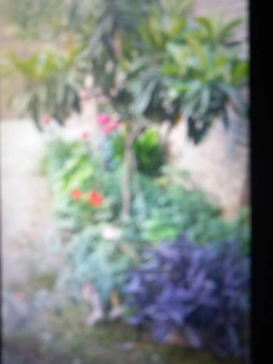 فروش خانه ویلایی کلنگی
