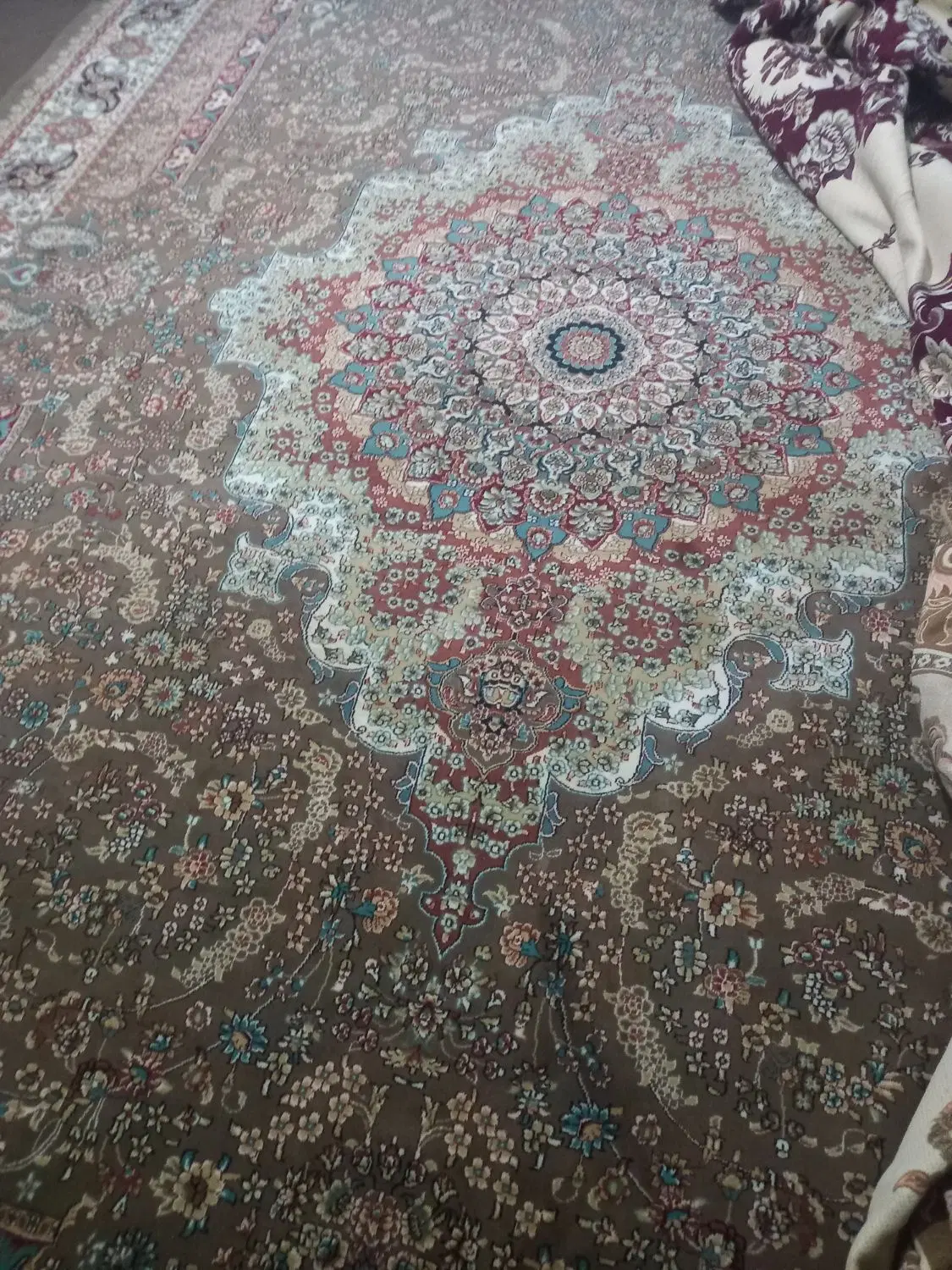 خونه اجاره  همخونه