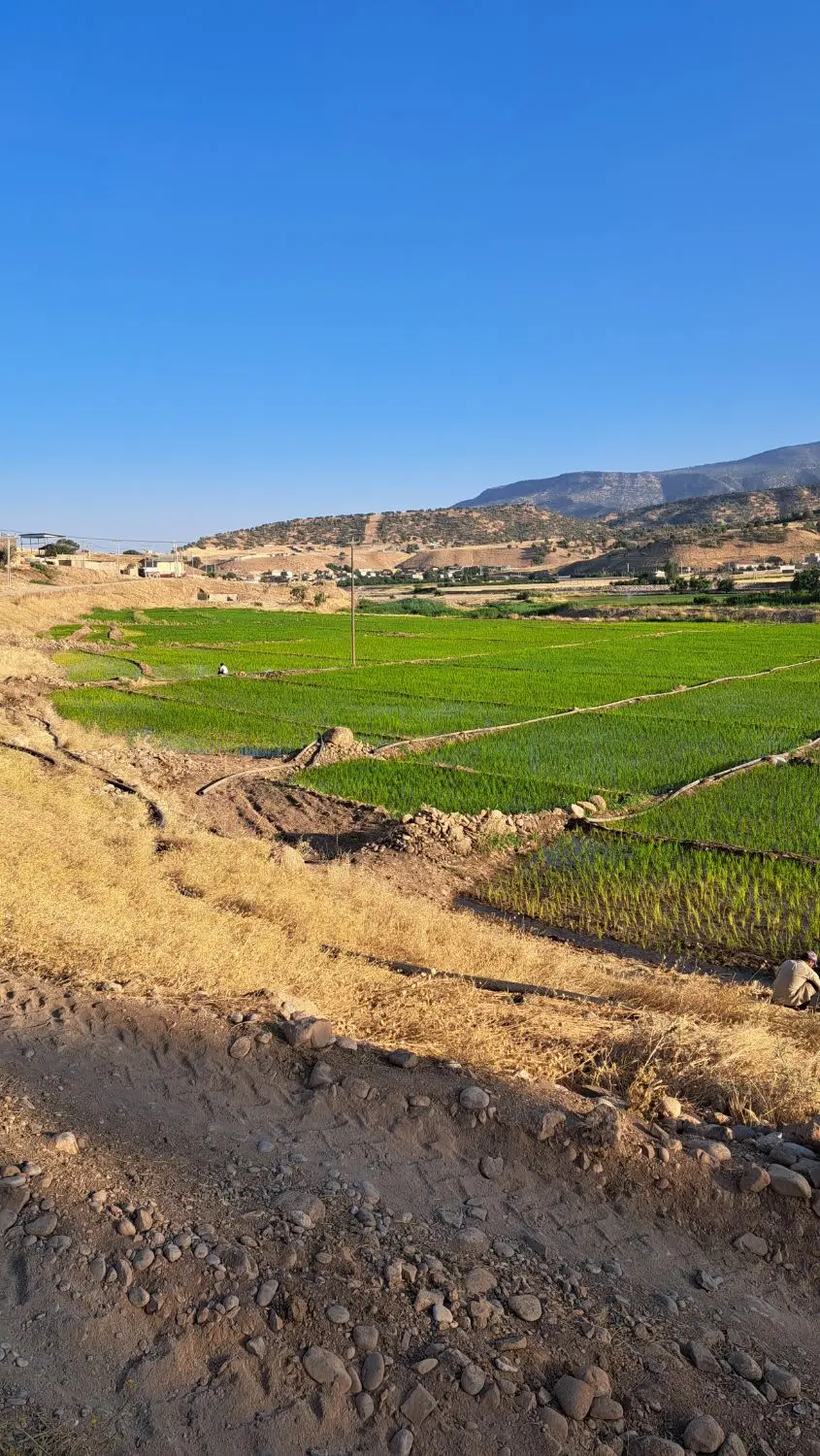 ملک کشاورزی صنعتی
