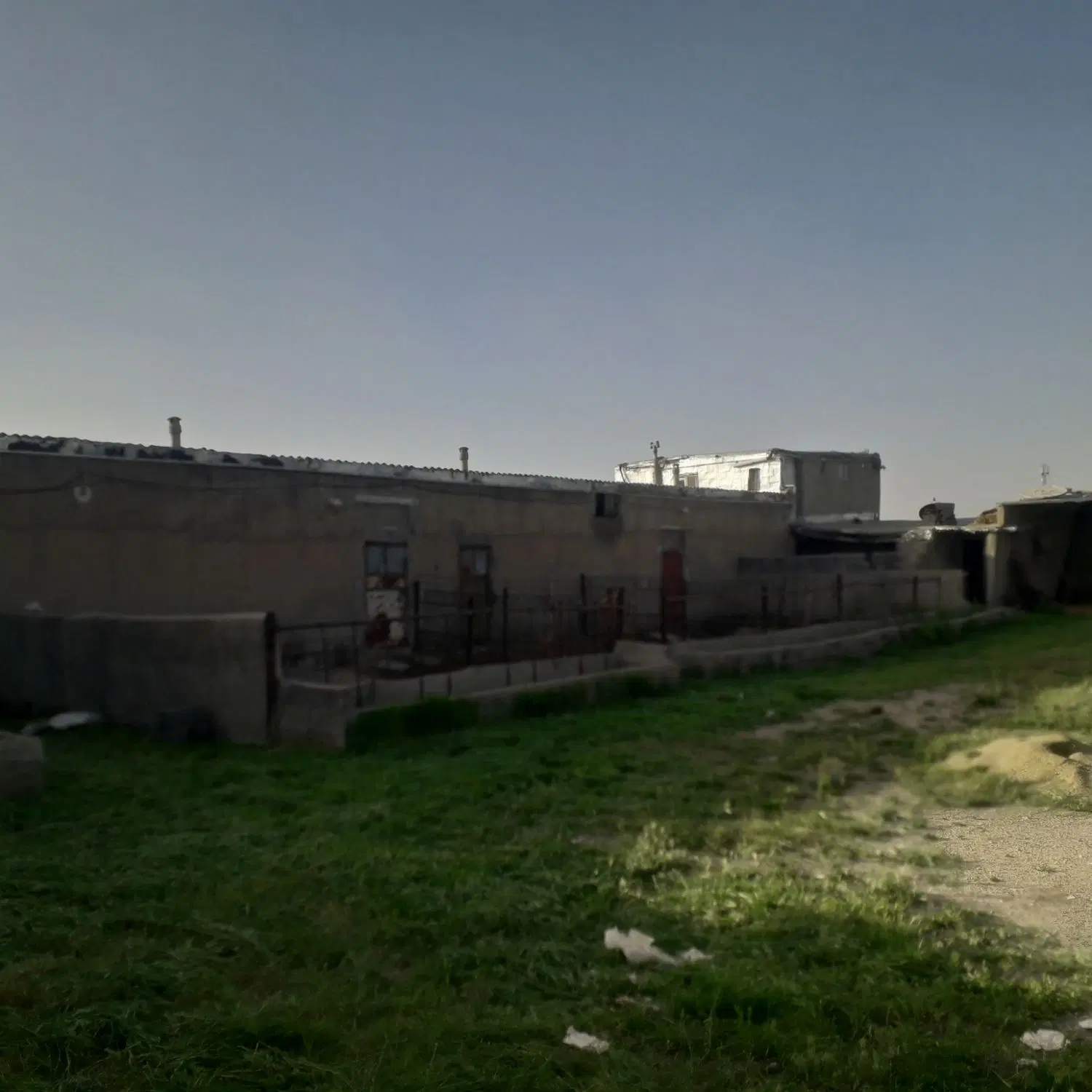 اجاره گاوداری