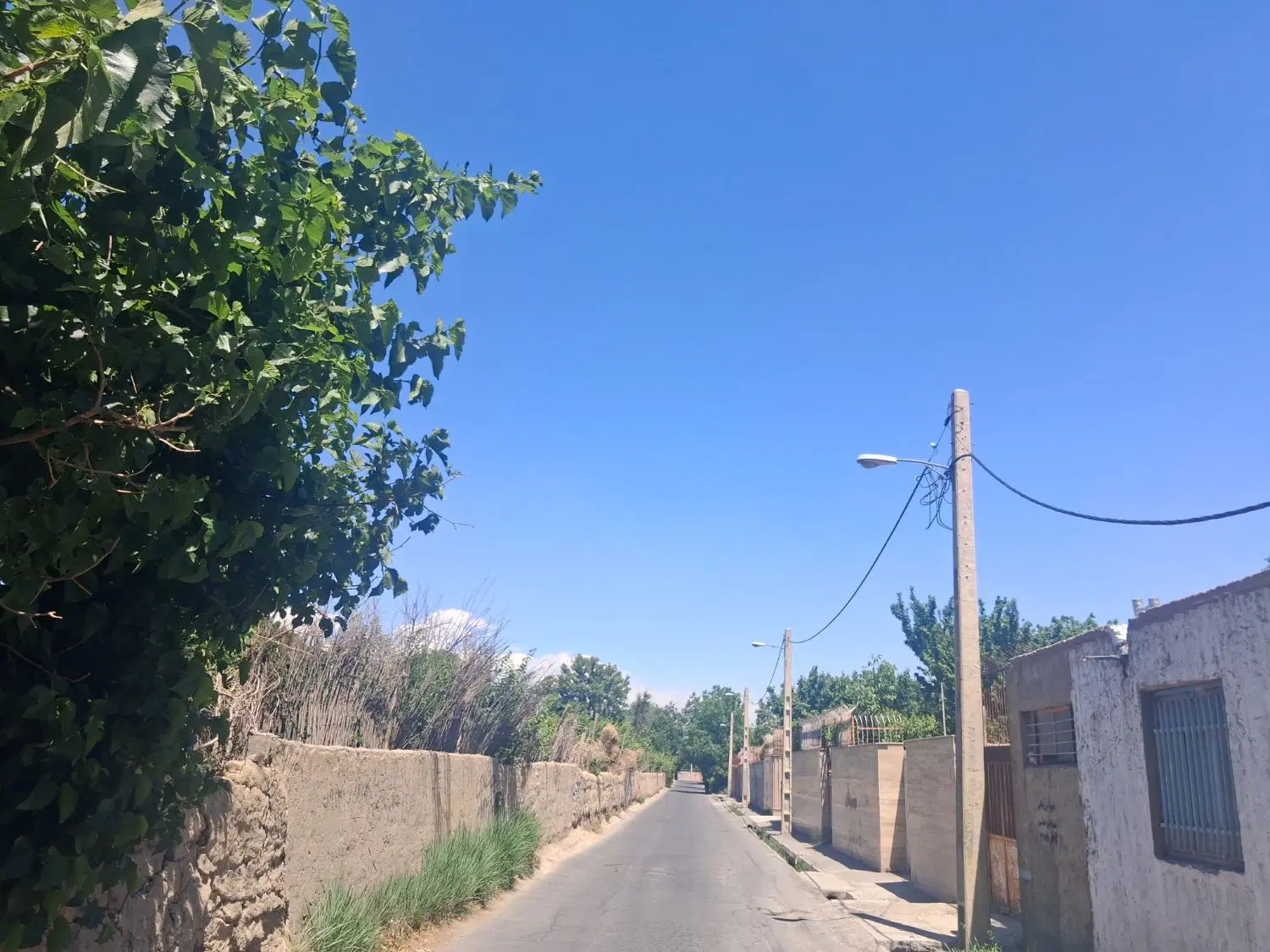زمین باغ باغچه مسکونی زمین تجاری زمین مسکونی ملک