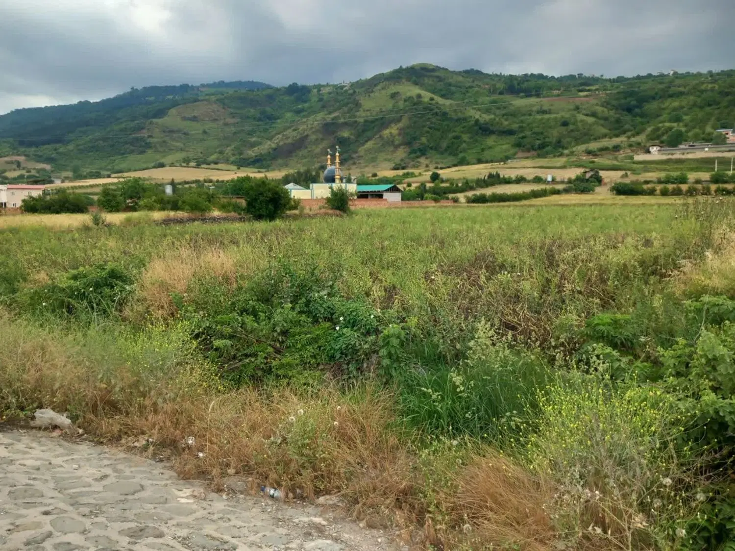 زمین زراعی