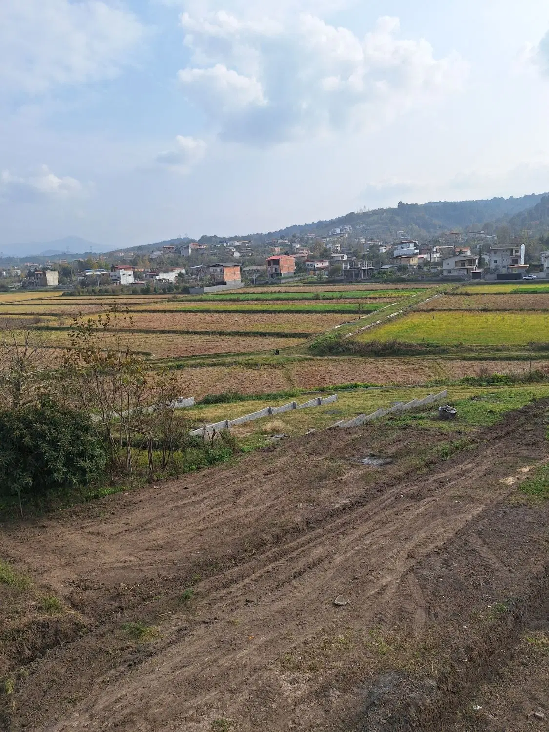 زمین فرمانداری(کوی بهار)
