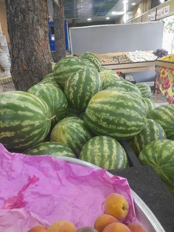 اجاره لاین سبزی در میوه فروشی