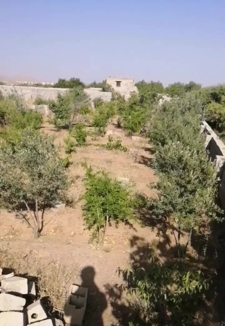 فروش زمین کشاورزی
