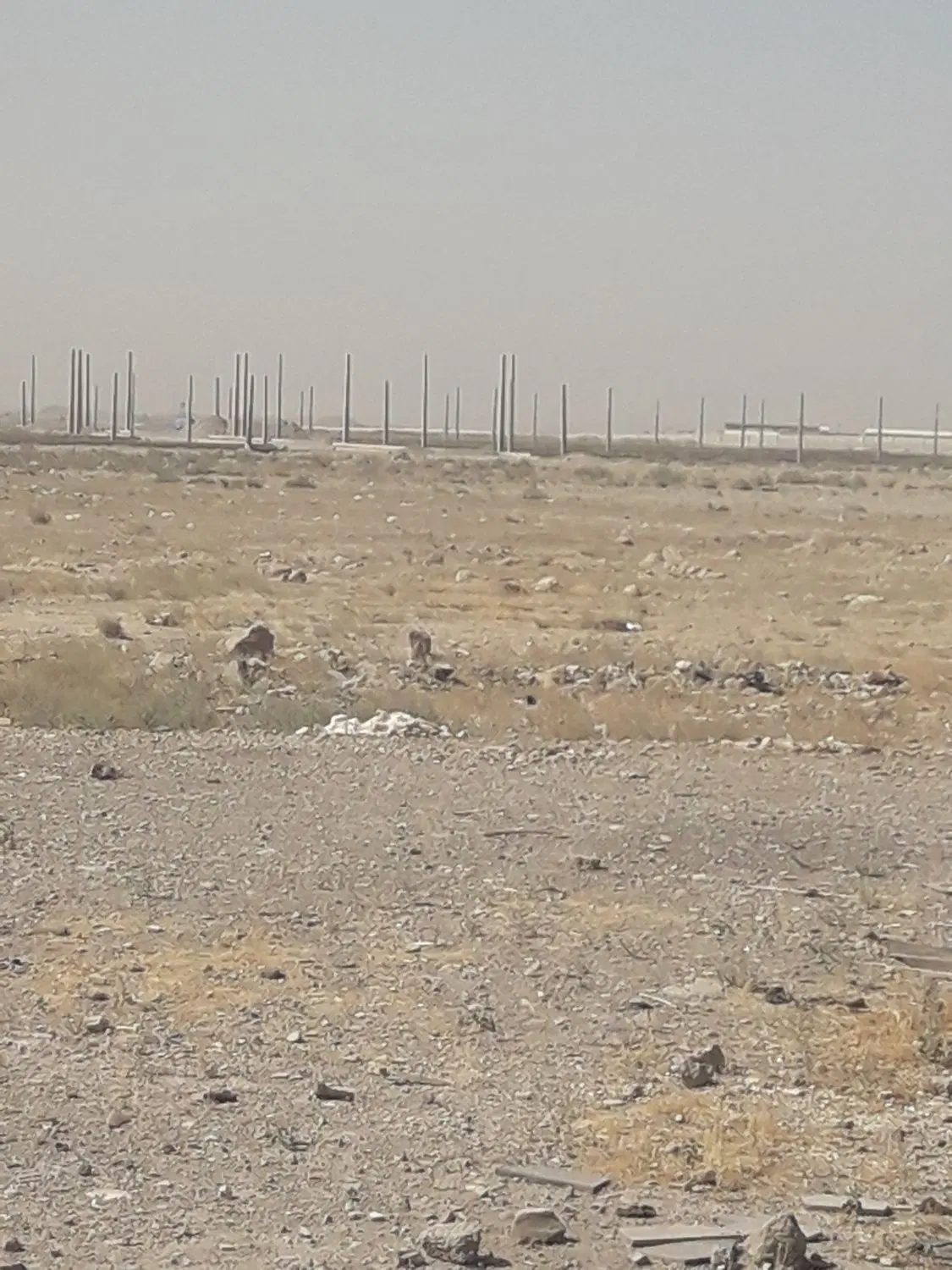 زمین