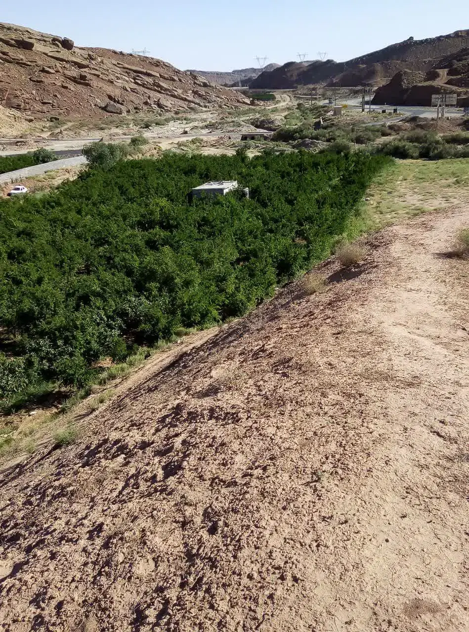 فروش باغچه در روستای دوآب دماوند