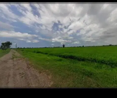 زمین زراعی در ورگه سران