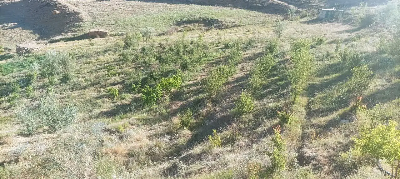 باغ و زمین کشاورزی شاهکوه