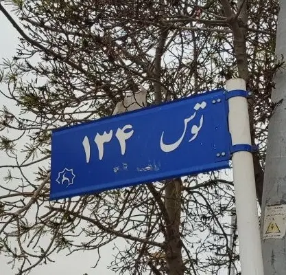 اجاره مغازه 40 متری