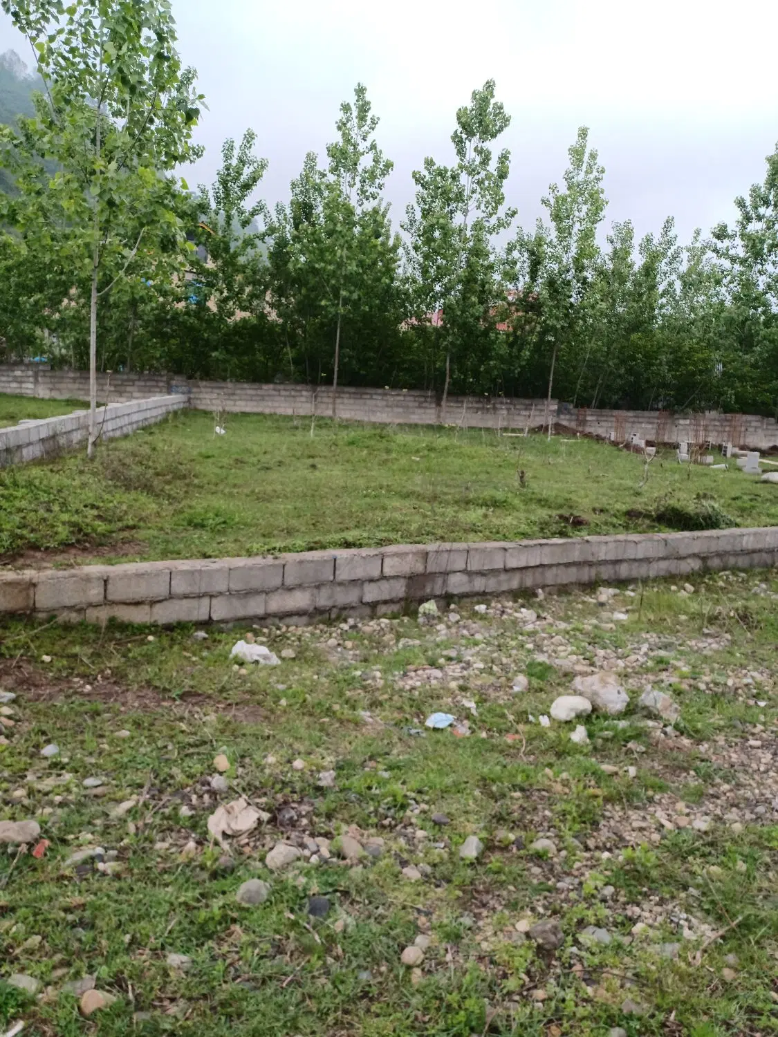 سند تک برگ نارنجدول ۲۸۰متر