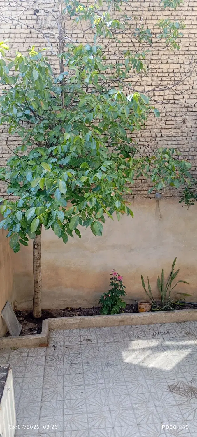 اجاره دوطبقه خانه دربست سی متری بنی هاشم