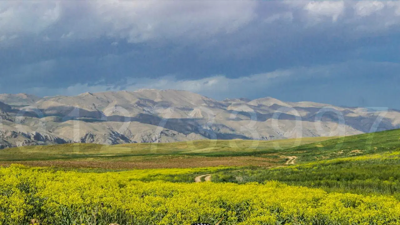 زمین کشاورزی ومسکونی سدنمرود