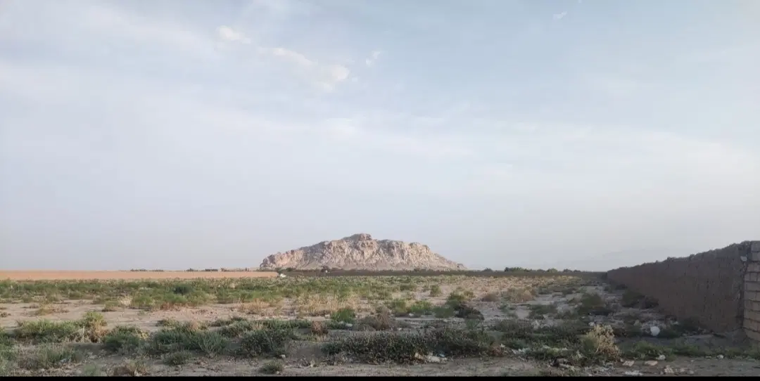 فروش و معاوضه زمین کشاورزی (قیمت توافقی)