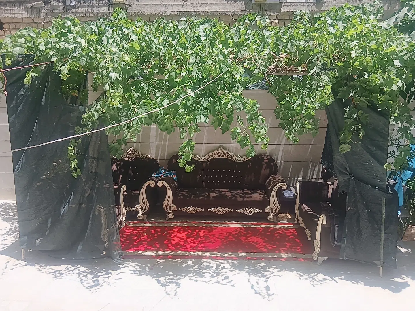 فروش منزل ویلایی شیک ودلباز