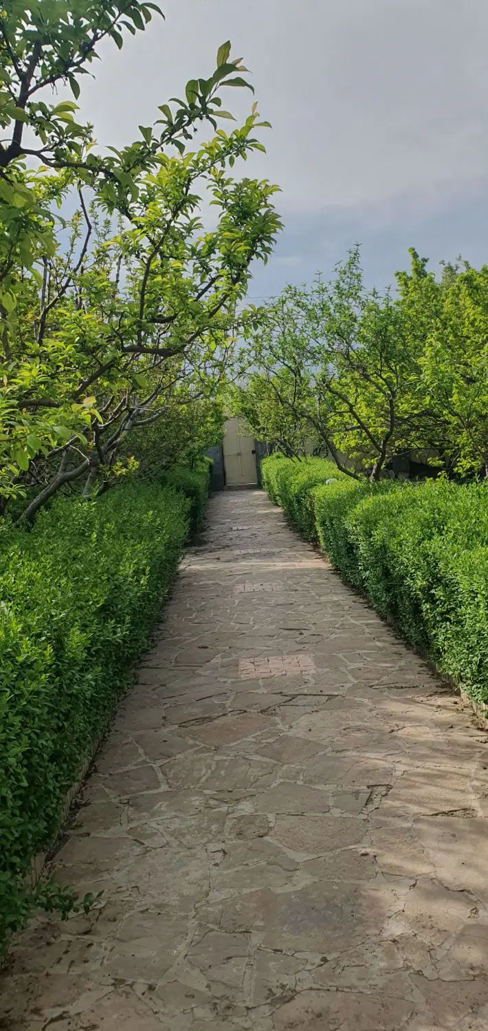 باغ ویلا