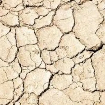زمین ۵۰متری