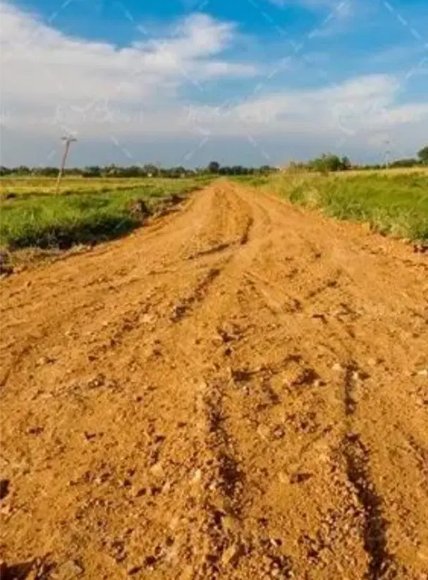 زمین کشاورزی