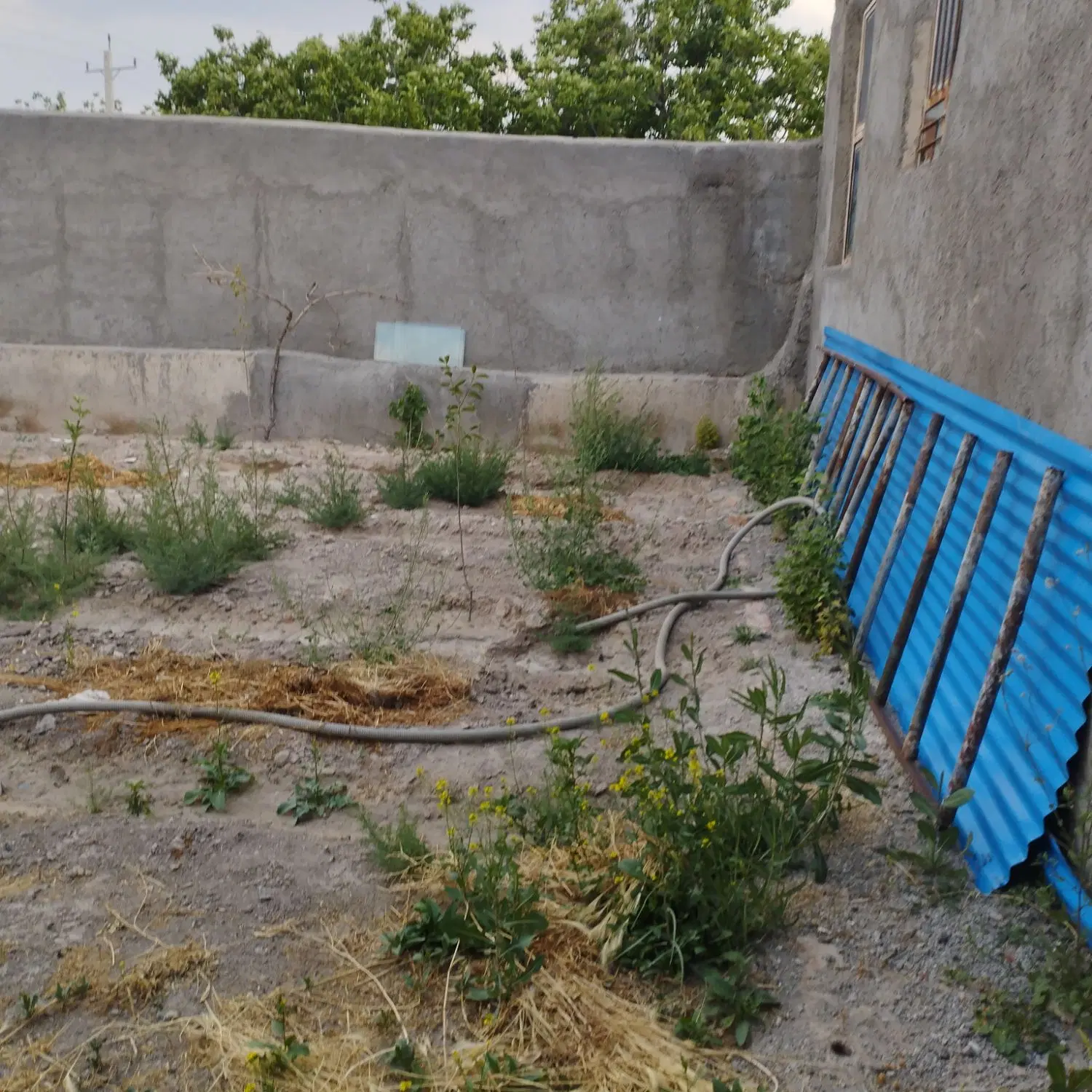کارخانه در اذرشهر