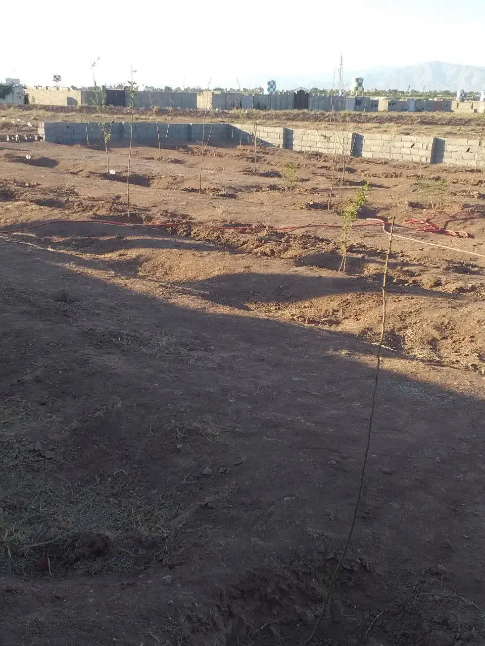 زمین باغی